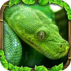 Snake Simulator APK 下載