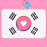 Korea Friend Chat App