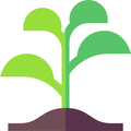 Plant Detection by Sebastian