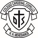 Jornadas Copello TV APK