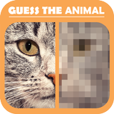 Guess the animal Picture Quiz