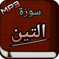 Surah Naba Audio