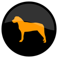 Random Dog Sounds