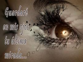 Poemas tristes de amor ảnh chụp màn hình 2