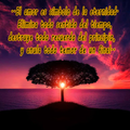 Dedicatorias de Amor