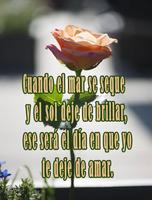 Dedicatorias de Amor syot layar 1