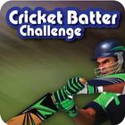 Cricket Batter Challenge-icoon