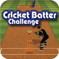 Cricket Batter Challenge imagem de tela 1
