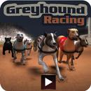 Greyhound Racing APK