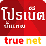 ikon True Net