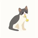 脱出ゲーム　泥棒と猫