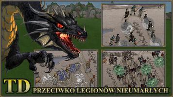 Heroes 3 and Mighty Magic:Obrona Wieży TD Fantasy plakat