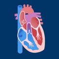 HEALTHY HEALTH
