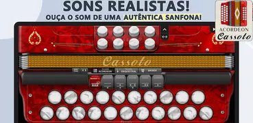 Acordeon Diatônico Gaita Ponto