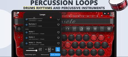 Accordion Diatonic Cassoto screenshot 2