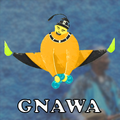 أغاني كناوة