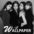 Blackpink Wallpaper HD Photos icône