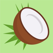 GoCoCo: Food Scanner