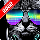 Cat Wallpaper APK