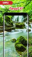 Forest Wallpaper постер
