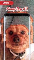 Funny Dog Pictures screenshot 1
