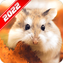 Hamster Wallpaper APK