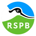 RSPB Volunteering by Assemble