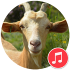 Goat Sounds icône