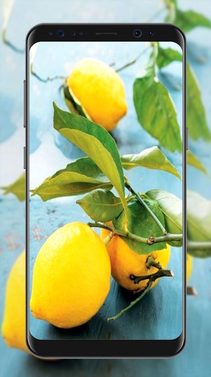 Android 用の かわいいレモンの壁紙 Apk をダウンロード
