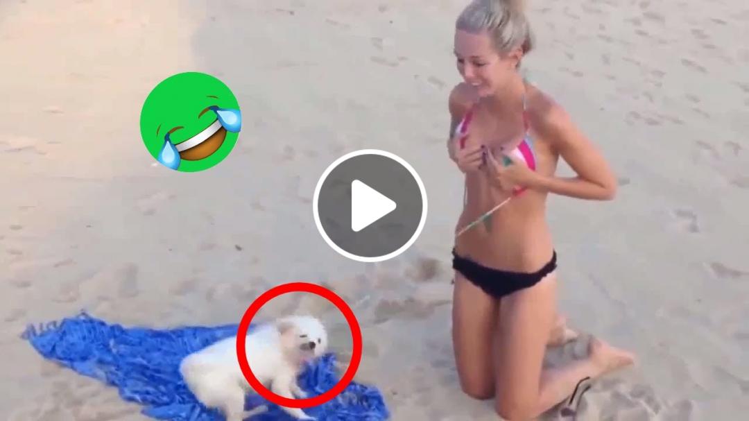 Gogo: Funny fails video,Prank clips & viral comedy APK for Android Download Gogo: Funny fails video,Prank clips & viral comedy APK for Android Download