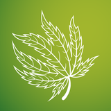 GrowCush - Cannabis detection