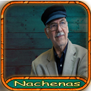 APK آهنگ های استاد ناشناس