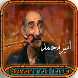 استاد امیر محمد چانته