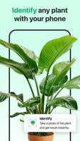 Plant ID: AI Plant Identifier Plakat