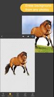 Pro Knockout-Background Eraser & Mix Photo Editor 포스터