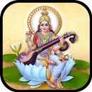 Saraswati Chalisa and Live Virtual Aarti-APK