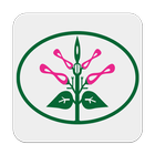 Endemic Plants icono