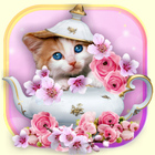 Cats Voice أيقونة