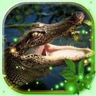 Crocodiles live wallpaper simgesi