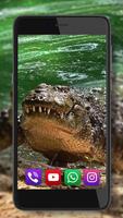 Crocodiles live wallpaper Ekran Görüntüsü 3
