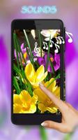 Crocus Spring 스크린샷 1