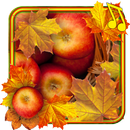 Apples Autumn live wallpaper APK