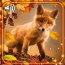Autumn Fox Live Wallpaper APK