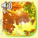 APK Autumn Music Live Wallpaper