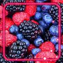 Berries Live Wallpaper APK