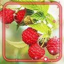 Berry Juicy Live Wallpaper APK