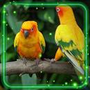 Bird Parrot Live Wallpaper APK
