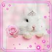 Bunny Princess Live Wallpaper