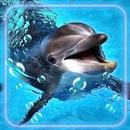 Dolphins Frendly APK