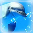 Dolphins Live Wallpaper APK